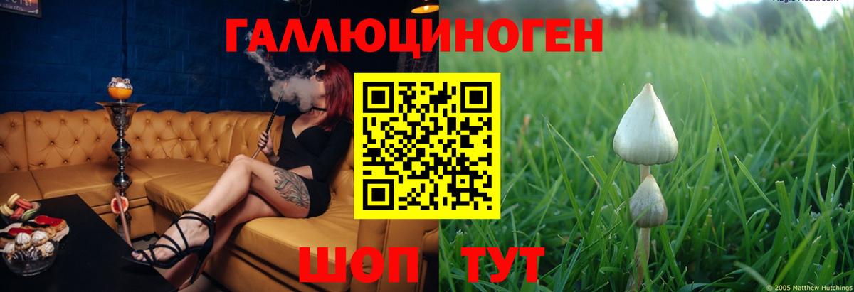 Сергиев Посад  Галлюциногенные грибы GOLDEN TEACHER  Вход с VPN  Псилоцибиновые грибы мицелий 