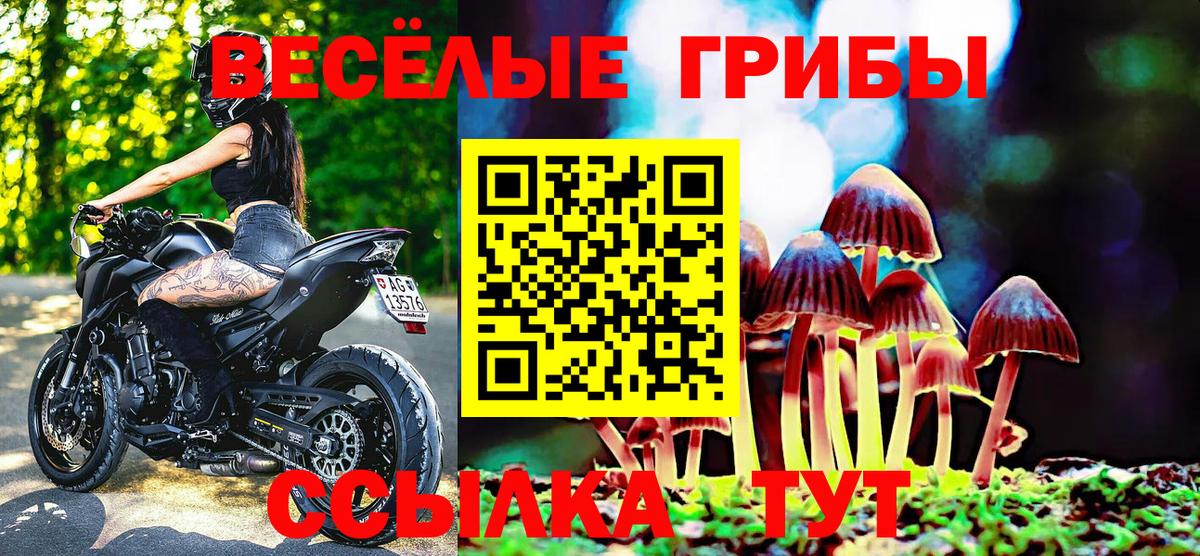 Псилоцибиновые грибы ЛСД Сергиев Посад
